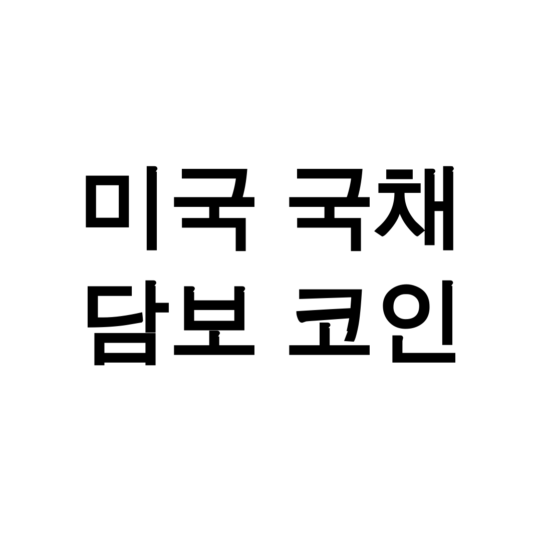 미국 국채 담보 코인