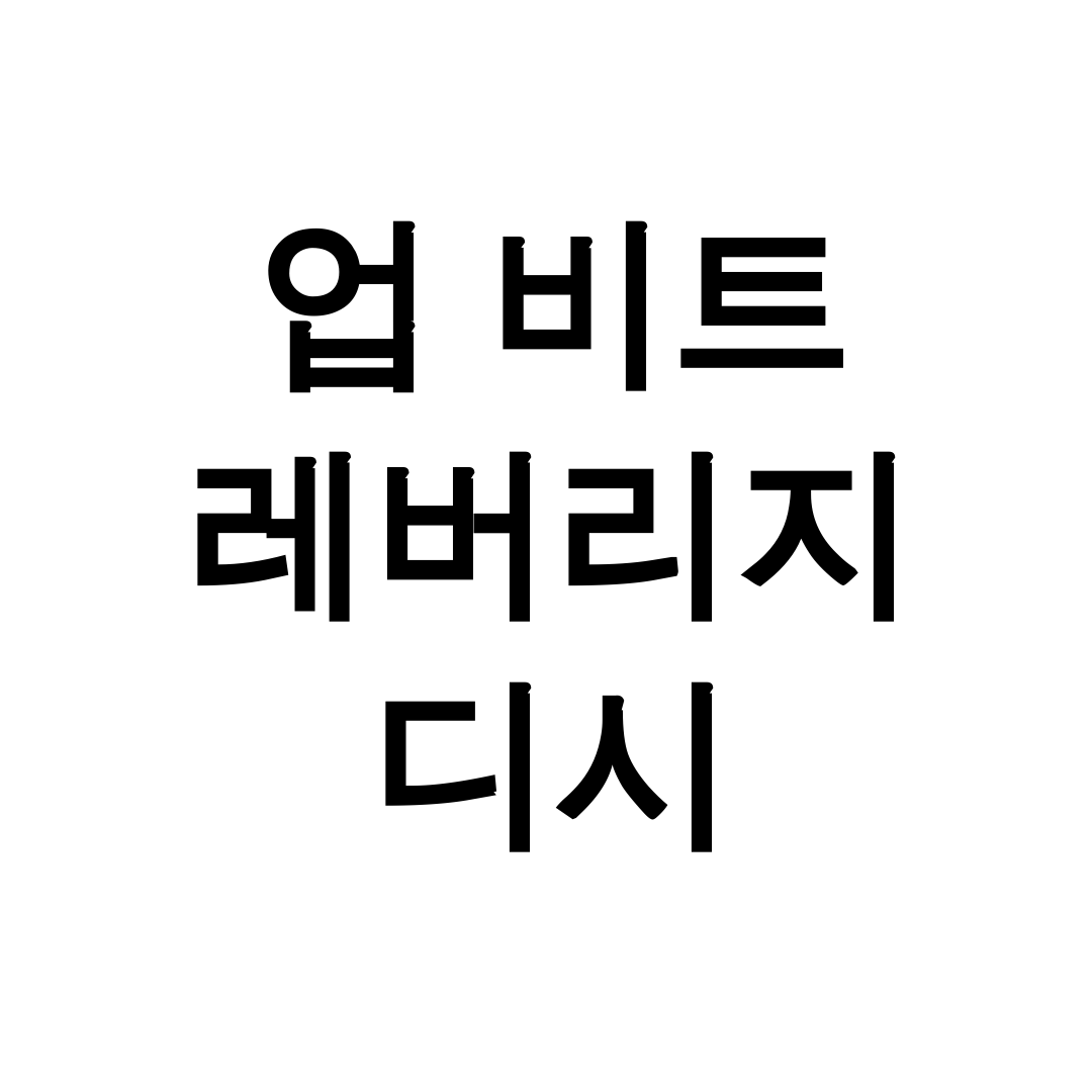 업 비트 레버리지 디시